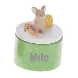 Boîte à dents vert pomme -...