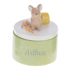 Boîte à dents vert pistache...