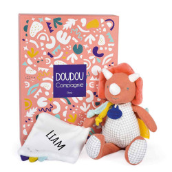 Peluche doudou mouchoir -...