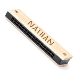 Harmonica blues en bois