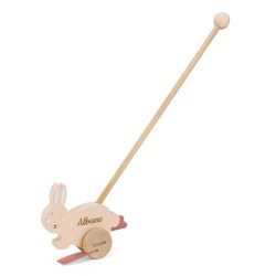 Jouet à pousser en bois...