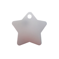 Médaille animaux étoile Argent