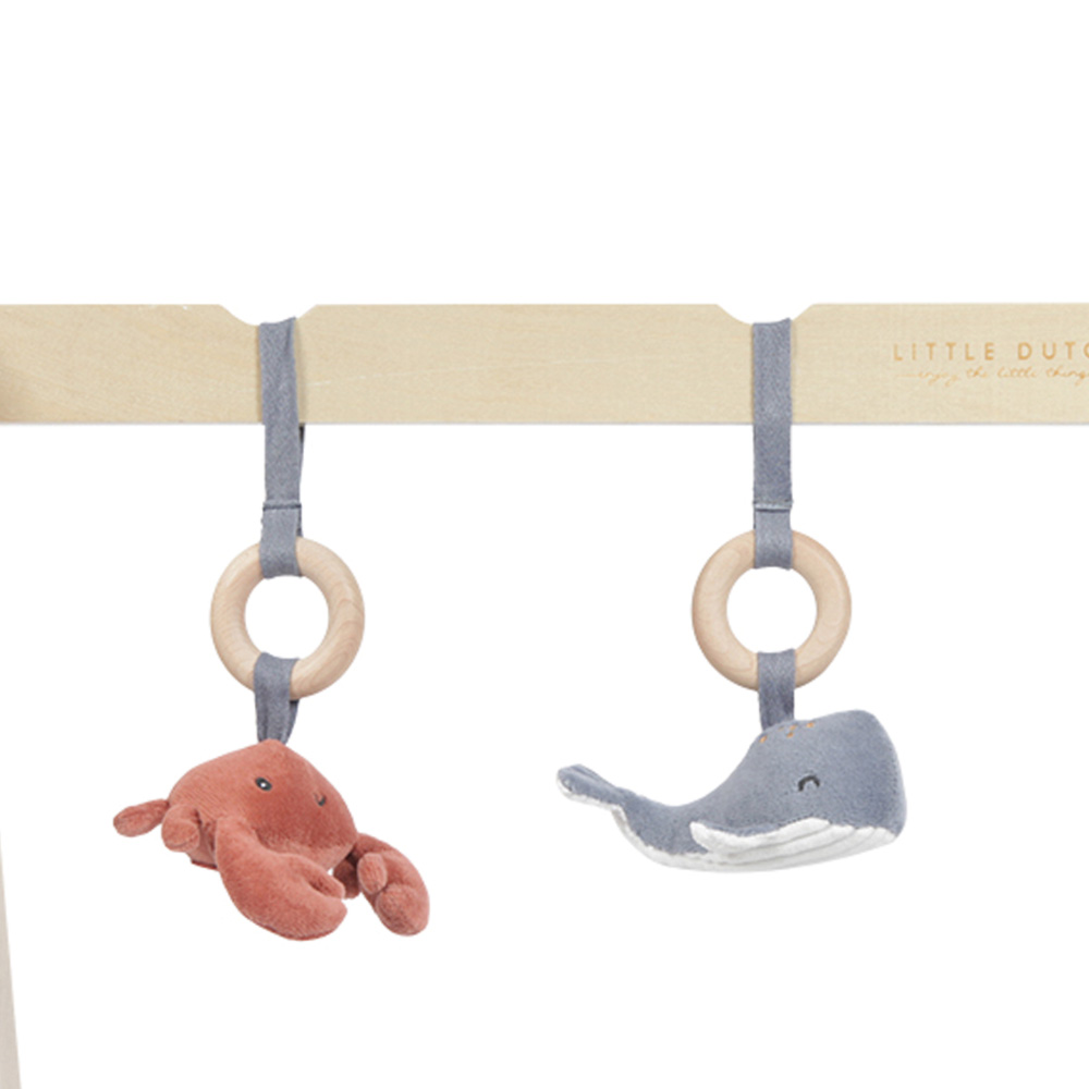 Arche D Eveil En Bois Bleue Little Dutch